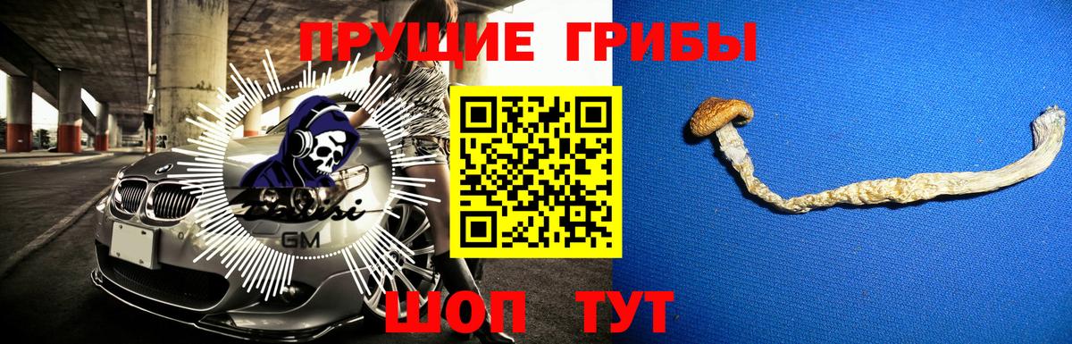 Псилоцибиновые грибы Magic Shrooms  Вход с VPN  Мурино 